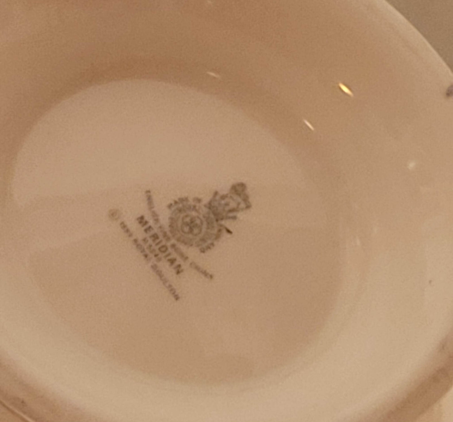 Royal Doulton Meridian Coffee Pot bone china England