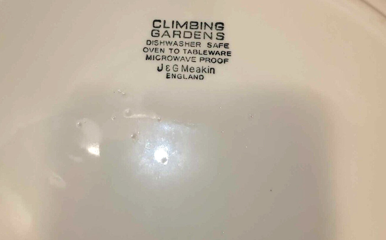 J & G Meakin climbing gardens serving Platter Oval. 13" roses