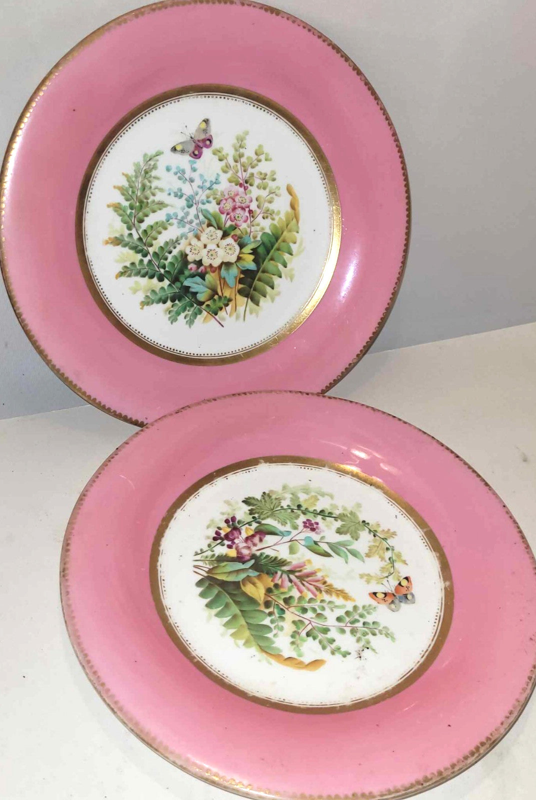 2x Antique china Plates Pink gold edging butterfly floral panel 9" Worcester ?