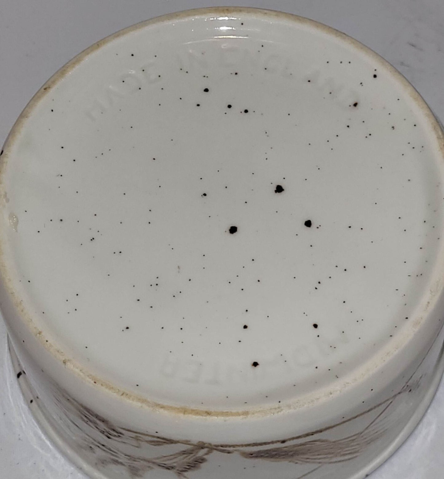 MIDWINTER STONEHENGE WILD OATS SUGAR BOWL 4" TEA
