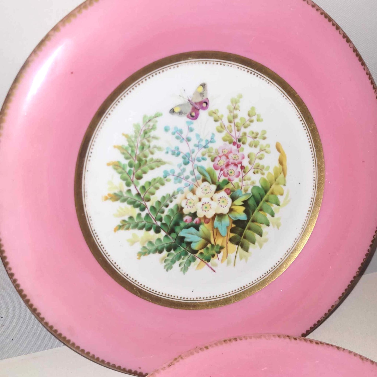 2x Antique china Plates Pink gold edging butterfly floral panel 9" Worcester ?