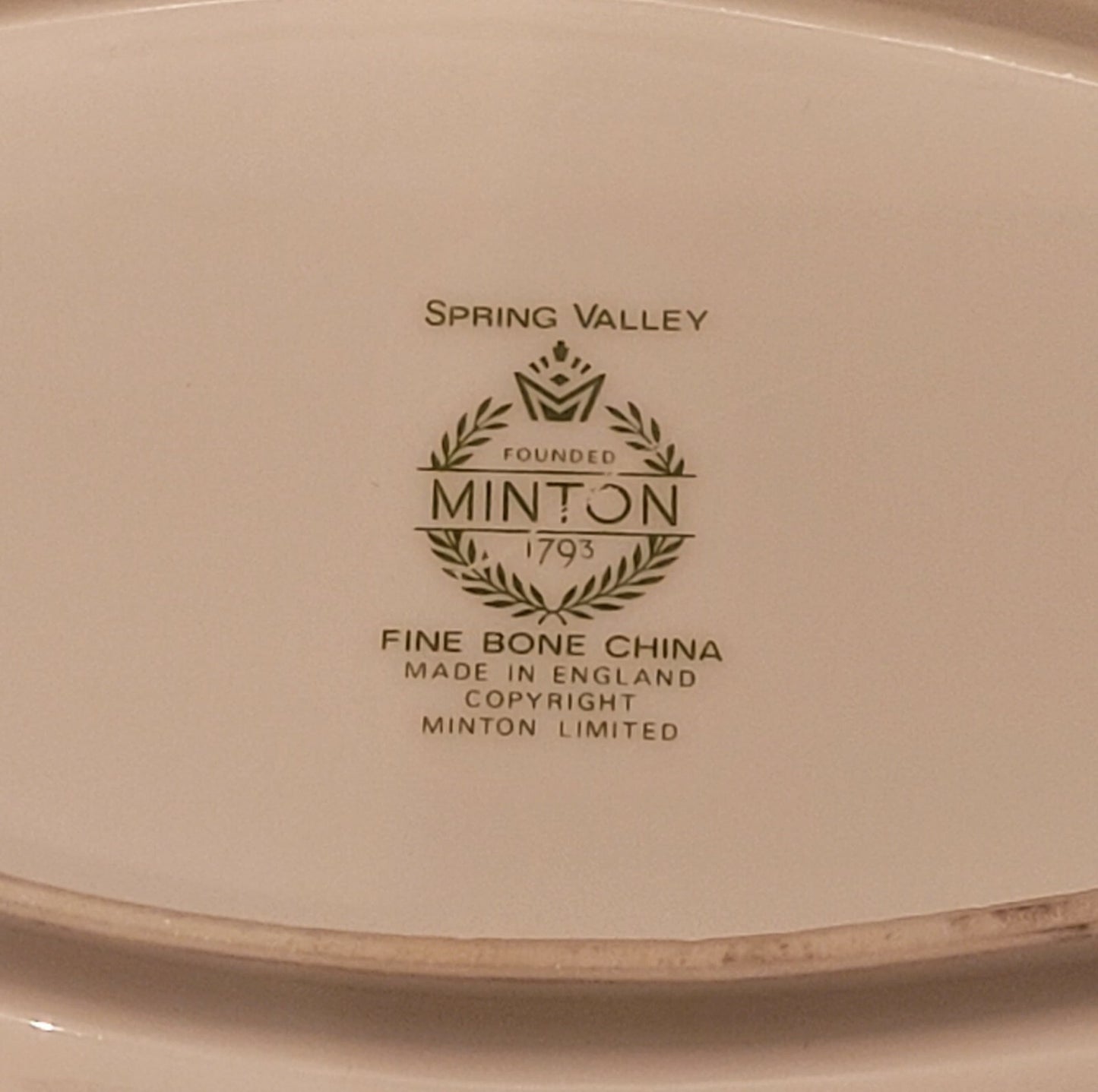 Minton Spring Valley OVAL SNACK NUT CANDY DISH 9" serving dish