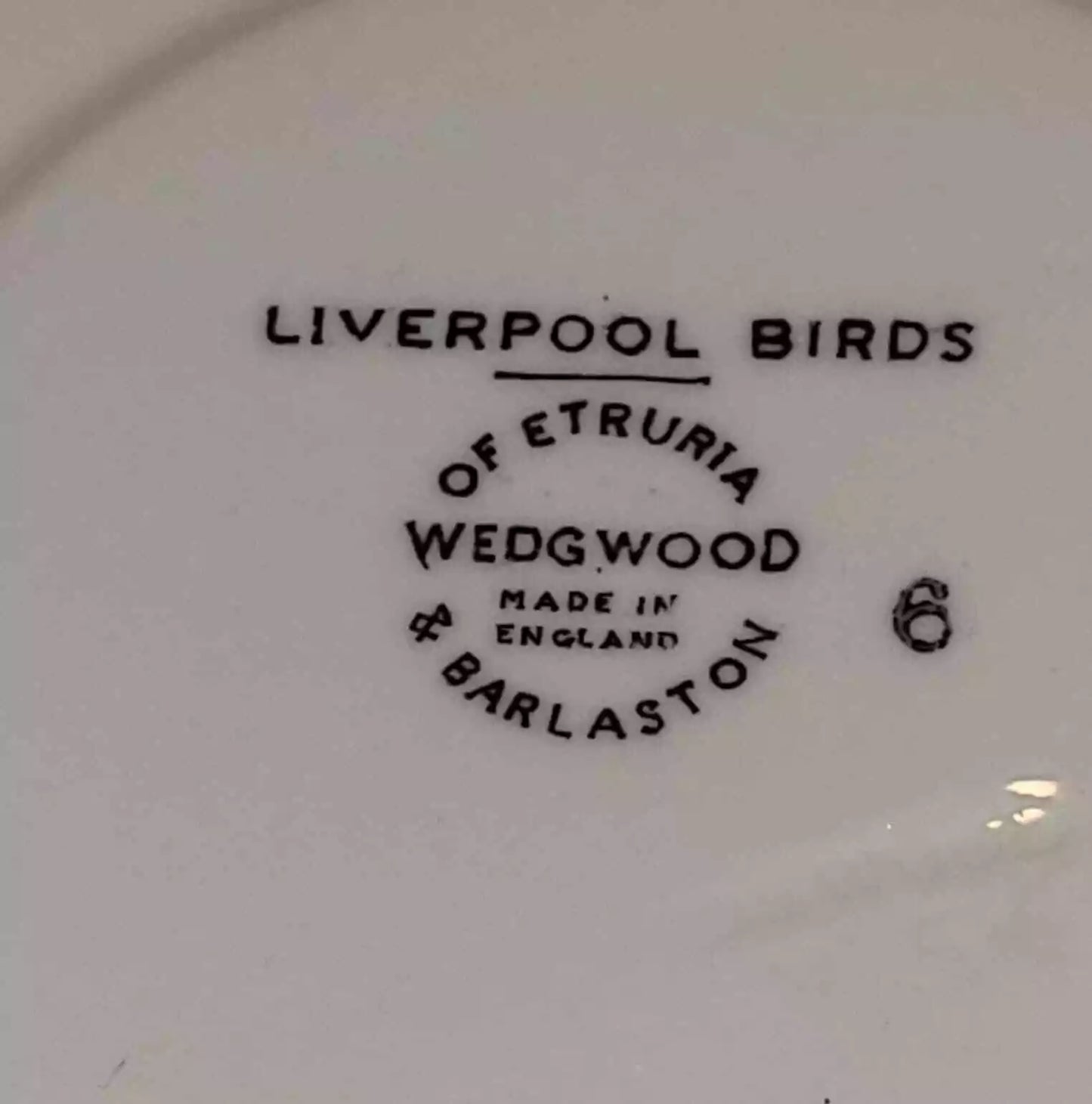 Coffee pot Wedgwood Liverpool Birds England