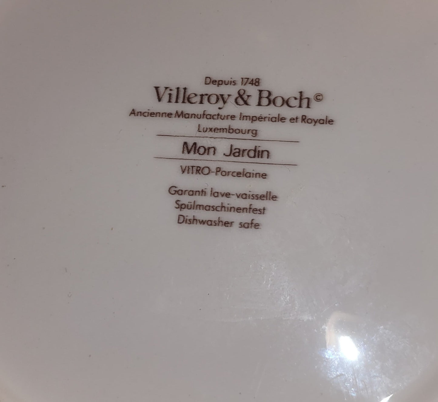 2x Villeroy & Boch Mon Jardin Rimmed soup pasta Bowls 9" my garden