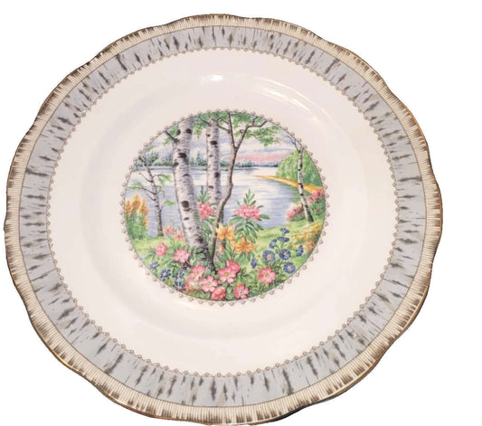 Royal Albert Silver Birch bone china Dinner plate  England
