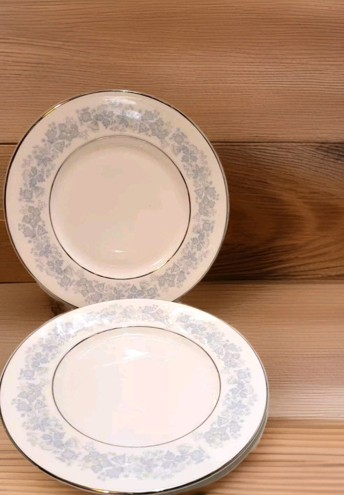 2x Royal Doulton Meadow Mist Dinner Plates bone china England 10.75"