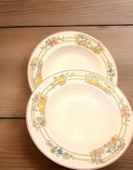 2x Villeroy & Boch Mon Jardin Rimmed soup pasta Bowls 9" my garden