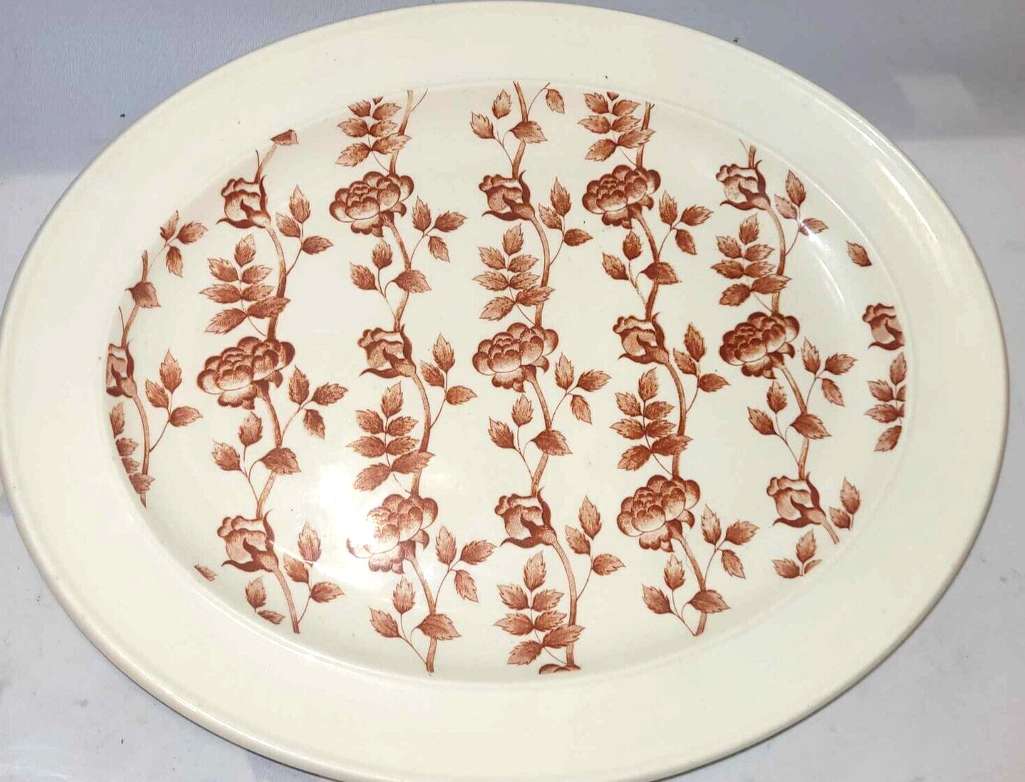 J & G Meakin climbing gardens  serving Platter Oval. 13" roses