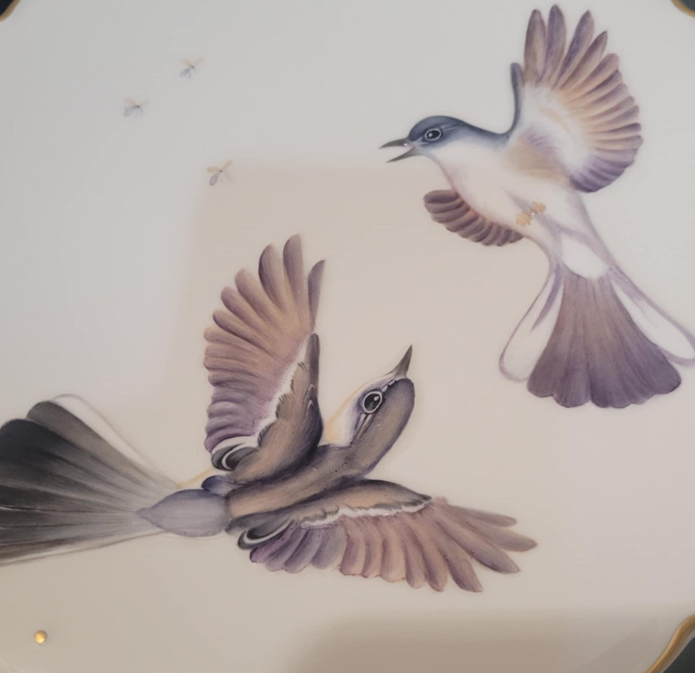 Royal Worcester THE BIRDS OF DOROTHY DOUGHTY blue grey gnatcatchers plate