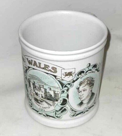 Wales Mug Regions and Counties Series Denby 1970s Souvenir conwy castle