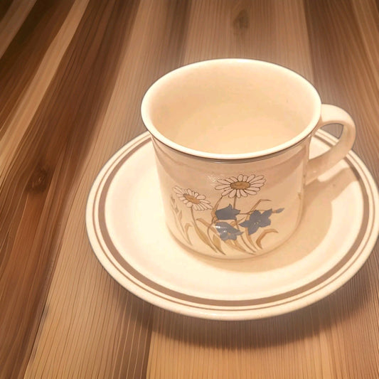 Royal Doulton Hill Top 1977 TEA CUP & SAUCER HILLTOP