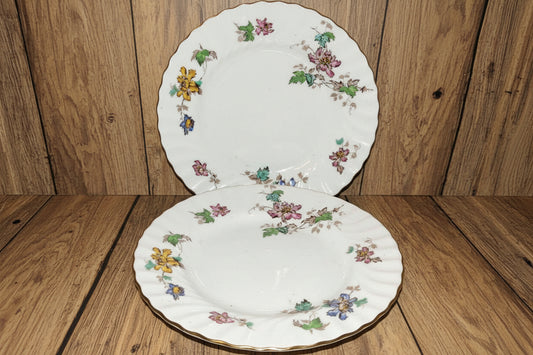 6x Minton Vermont salad dessert plates 8" bone china England
