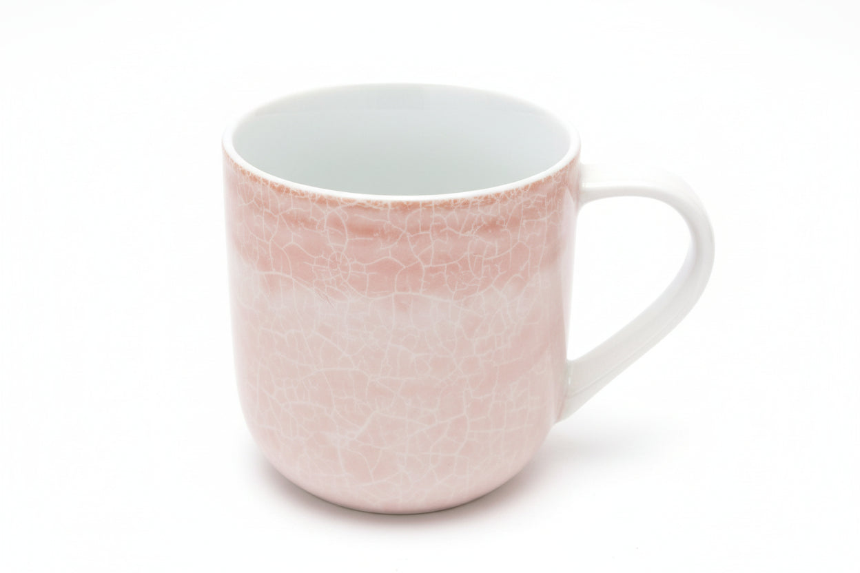 portmeirion crackle mug