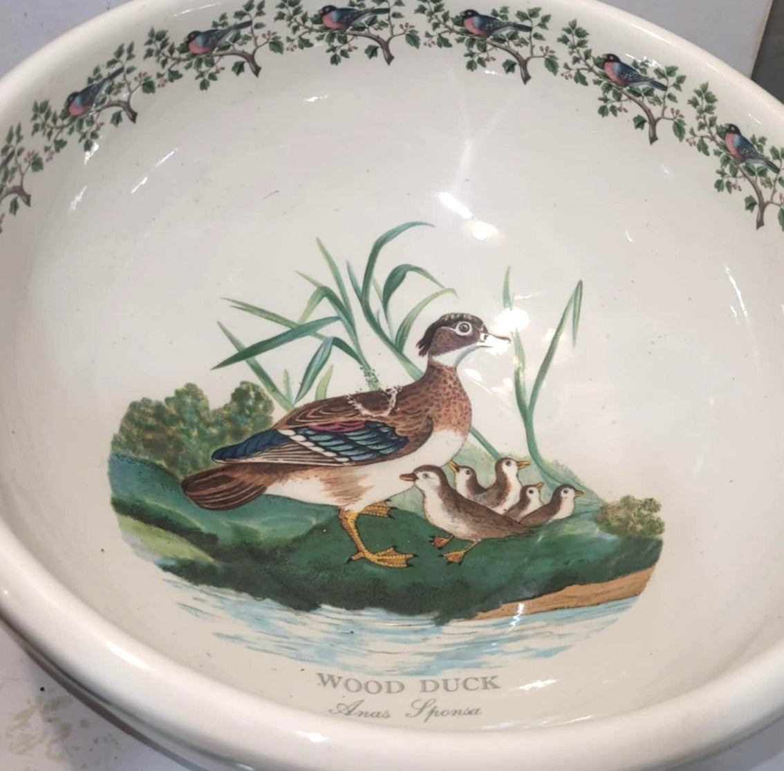 Large Portmeirion 10 inch Birds of Britain wood duck serving bowl dish
