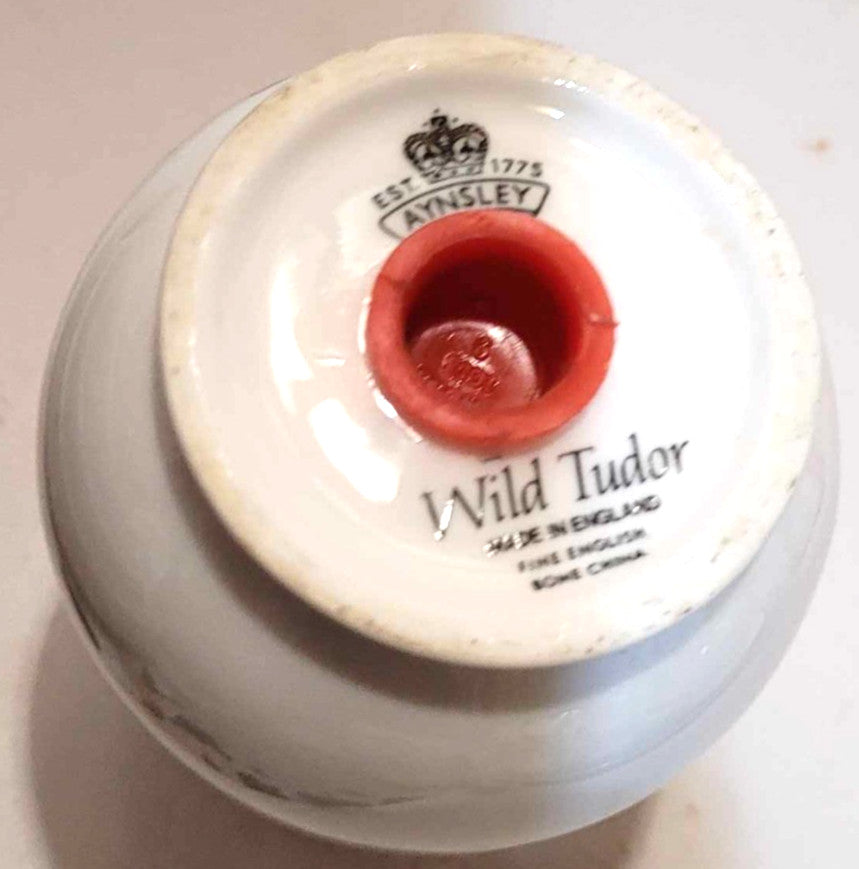 Aynsley Wild Tudor  Fine Bone China Sugar Shaker sifter salt pepper