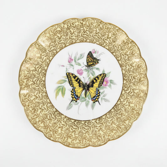 Decorative plate with butterfly design on a gold-rimmed plate
