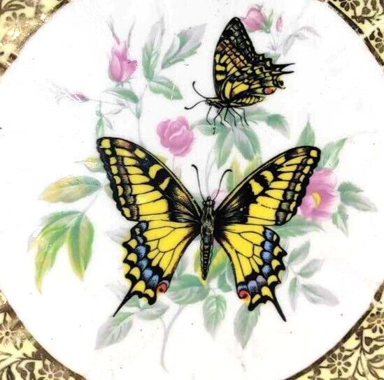 stunning Royal Sutherland Fine Bone China 8" Plate Gold butterfly swallowtail