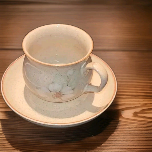 Denby Daybreak Pattern coloroll teacup & saucer