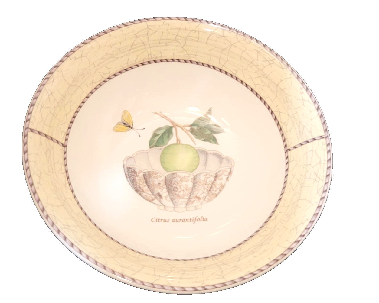Wedgwood Sarah's Garden 6 3/4" Cream Soup / Cereal Bowl with botanical design and yellow rim.