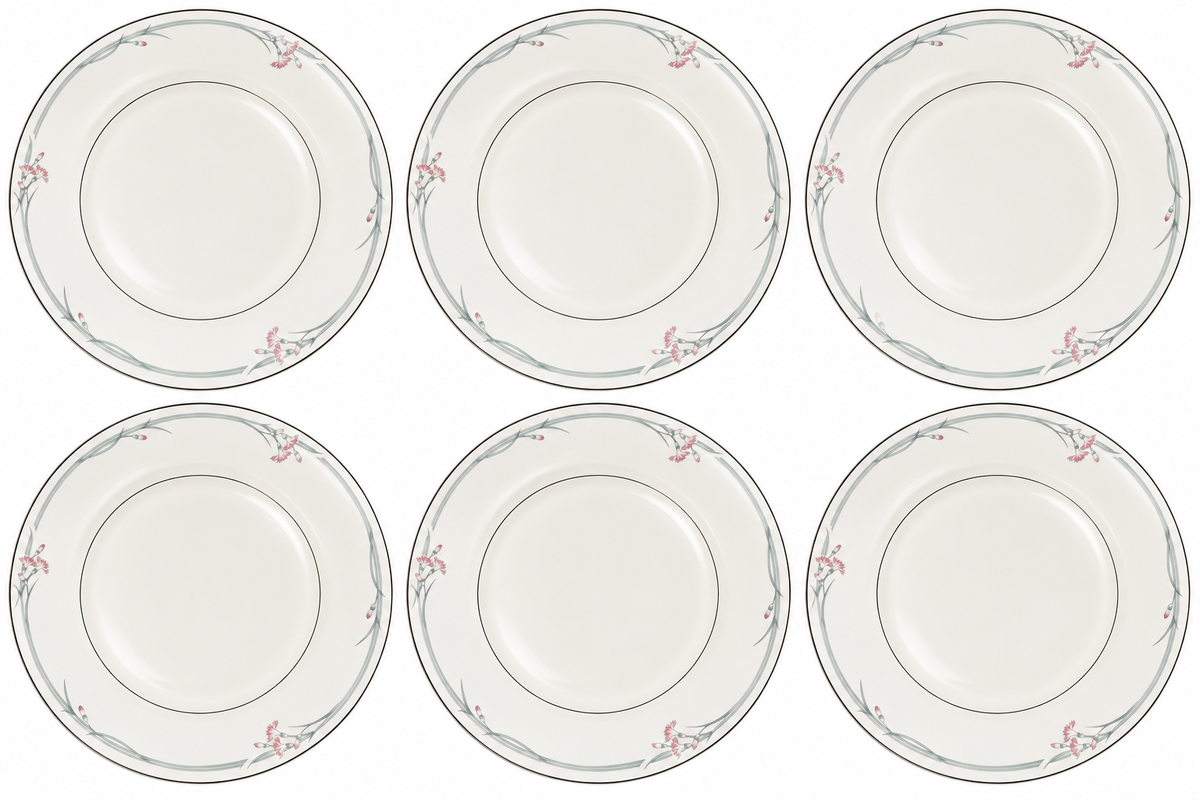 Set of 6 Royal Doulton Carnation H5084 8" Dessert Plates
