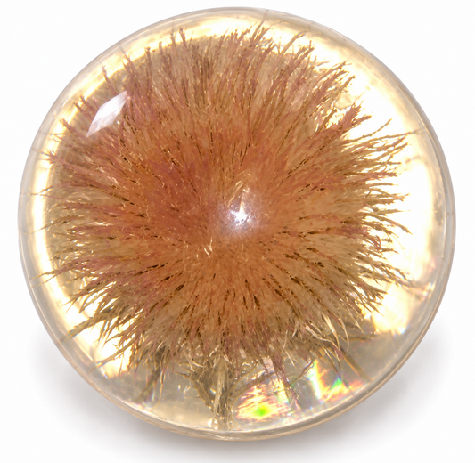 Vintage Hafod Grange Open Thistle Resin Paperweight – Original Collection 1989