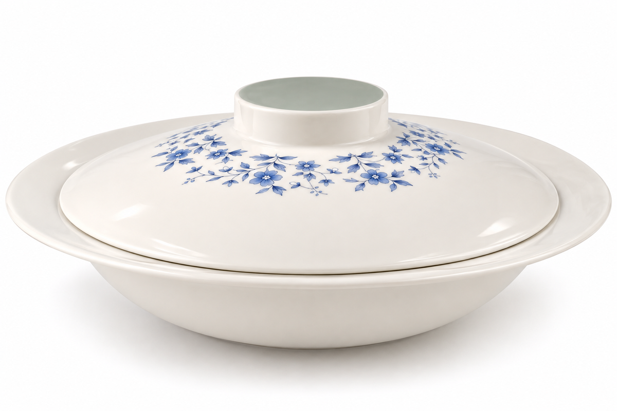 Royal Doulton Galaxy TC1038 Lidded Serving Dish – Vintage English China